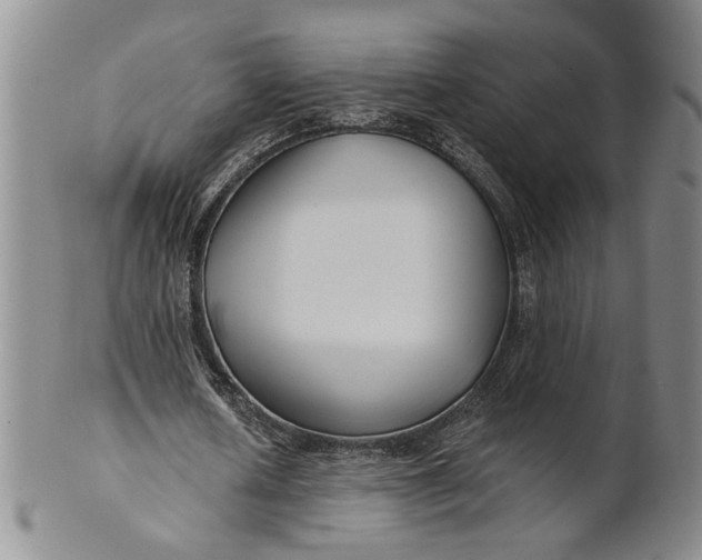 X0000100750626200807101704