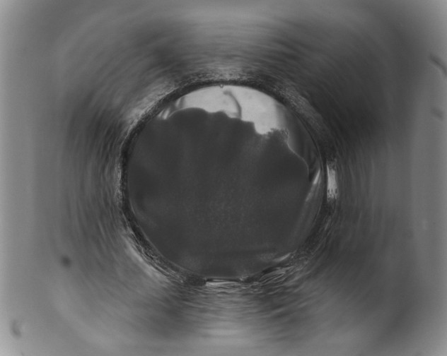 X0000100750627200807101704