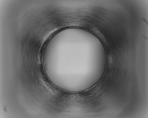 X0000100750628200807101704