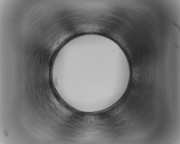 X0000100750629200807101704