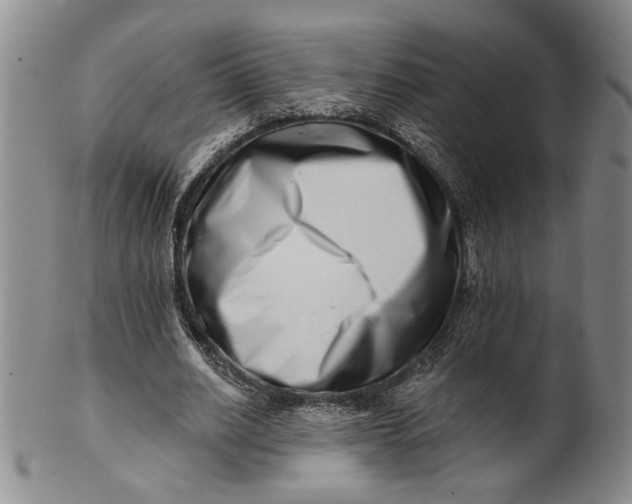 X0000100750630200807101704