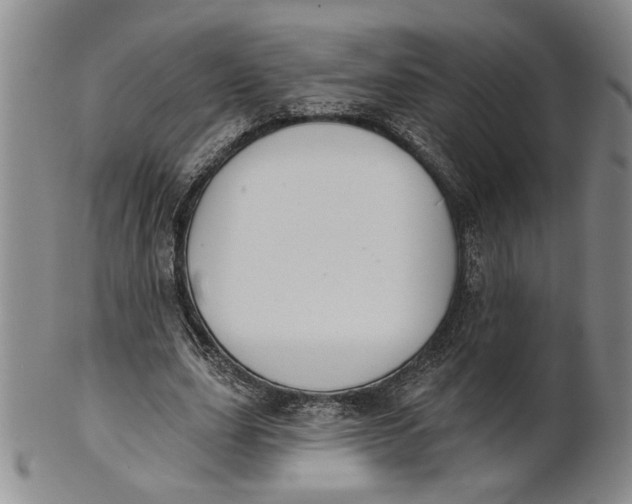 X0000100750631200807101704