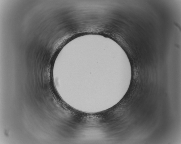 X0000100750632200807101704