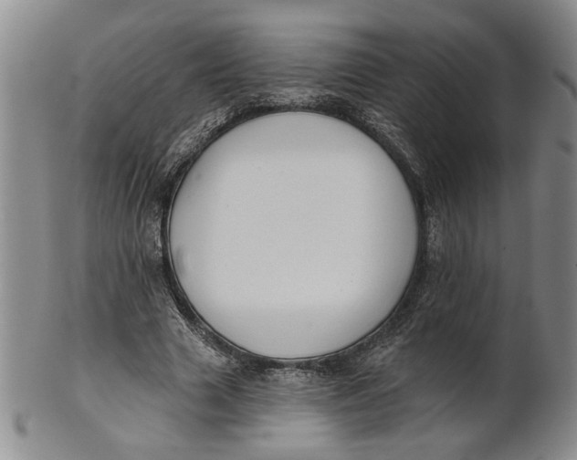 X0000100750633200807101704