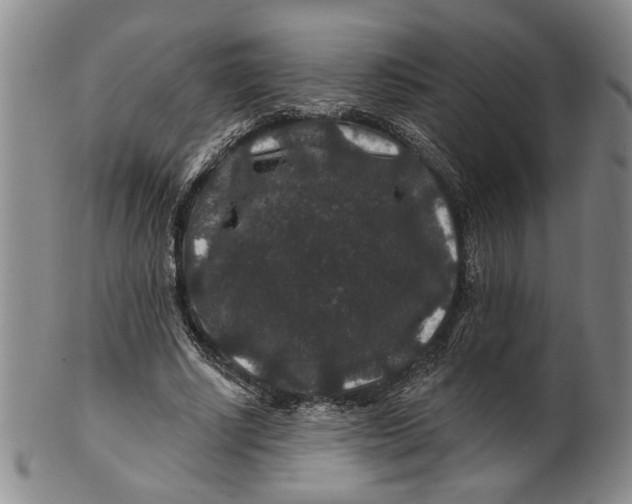 X0000100750634200807101704