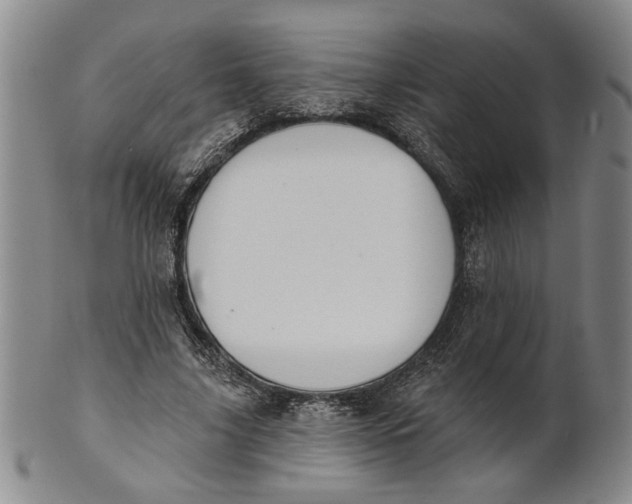 X0000100750635200807101704