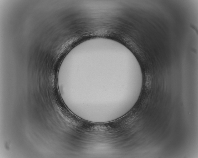 X0000100750636200807101704