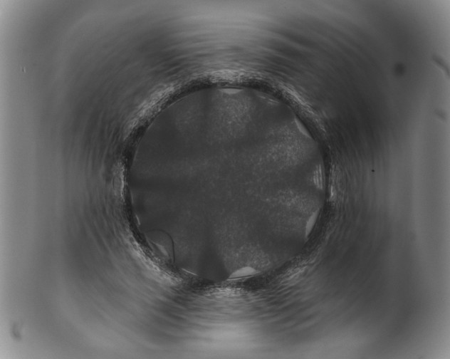 X0000100750637200807101704