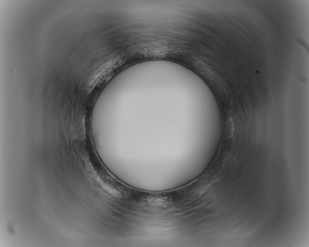 X0000100750638200807101704