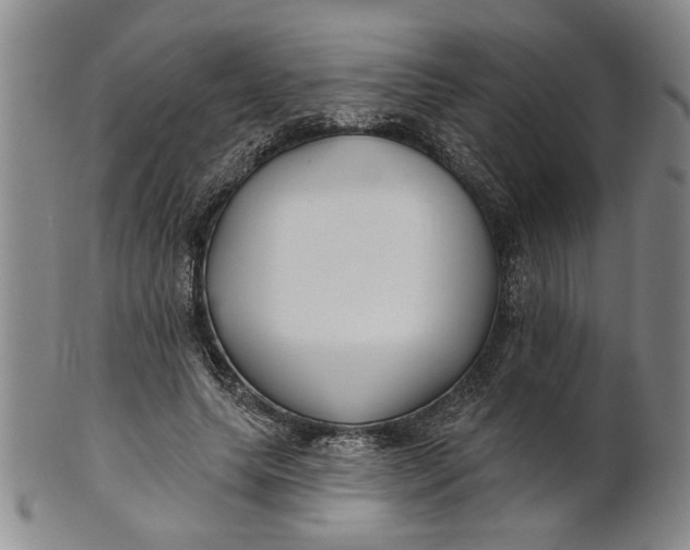 X0000100750639200807101704