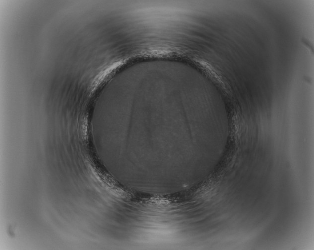 X0000100750640200807101704