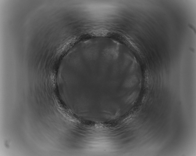 X0000100750641200807101704