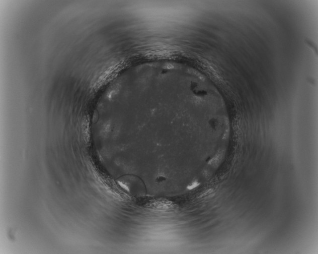 X0000100750642200807101704