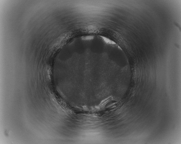 X0000100750643200807101704