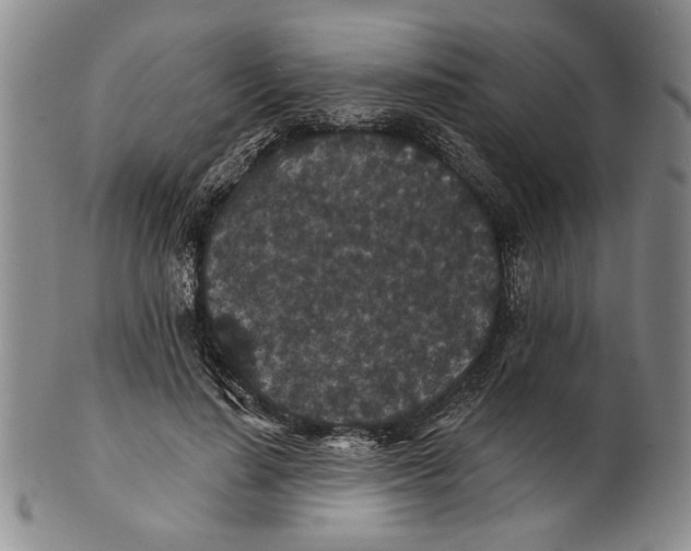 X0000100750644200807101704