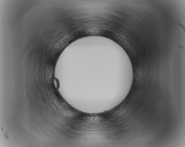 X0000100750645200807101704