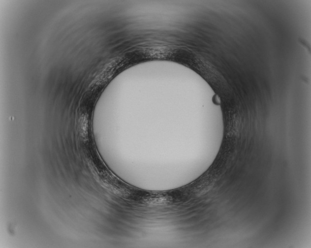 X0000100750646200807101704