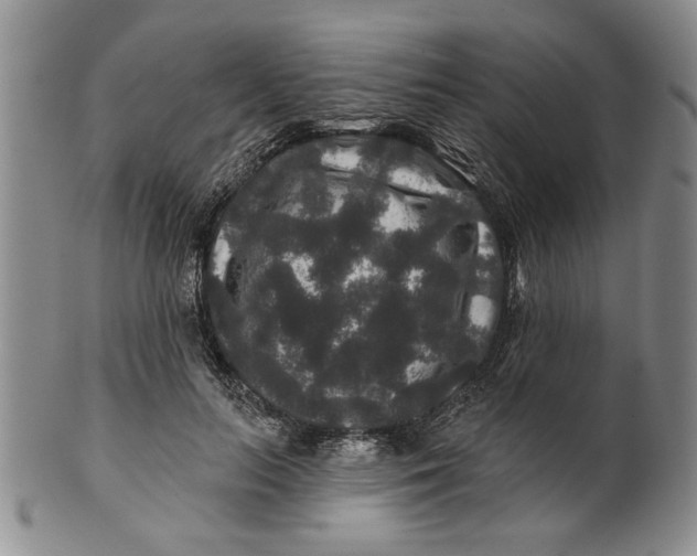 X0000100750647200807101704