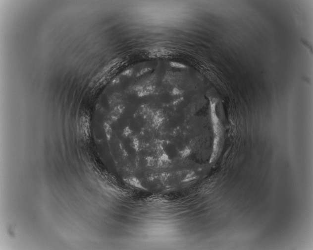 X0000100750648200807101704