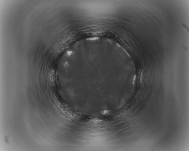 X0000100750650200807101704