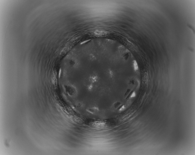 X0000100750651200807101704