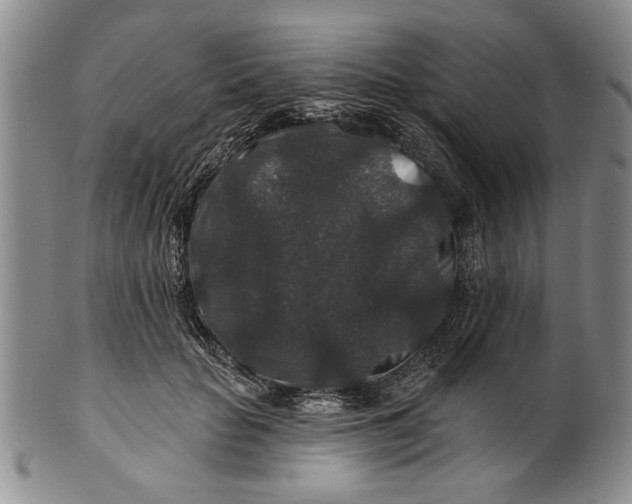 X0000100750653200807101704