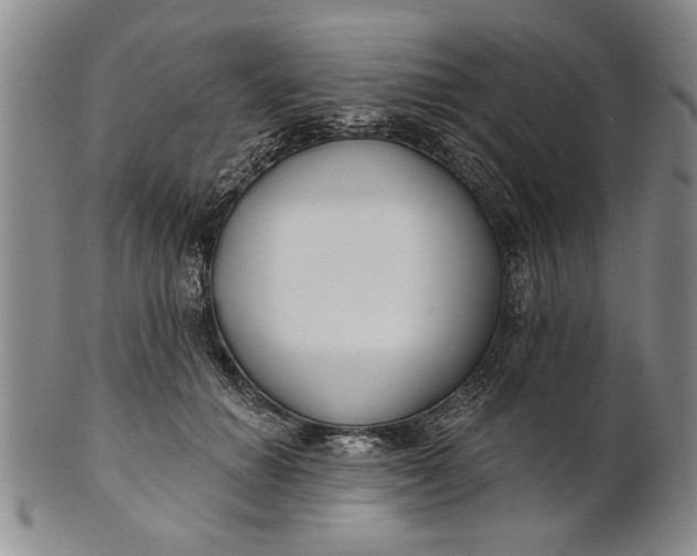 X0000100750654200807101704