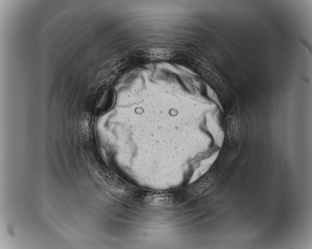 X0000100750655200807101704