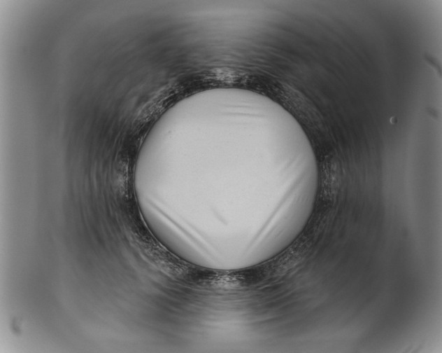 X0000100750656200807101704