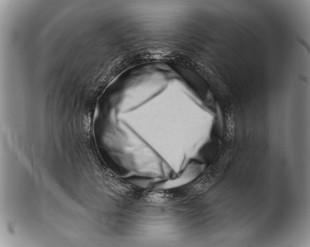 X0000100750657200807101704