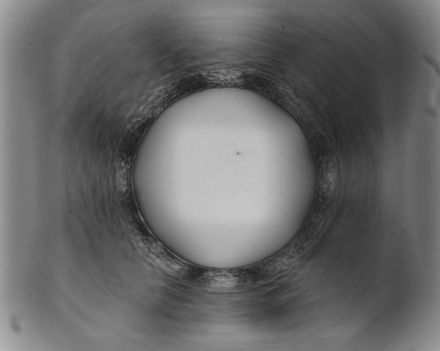 X0000100750658200807101704