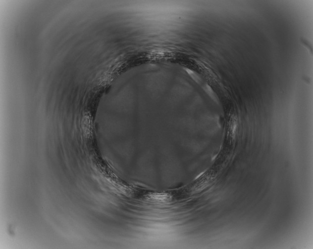 X0000100750659200807101704