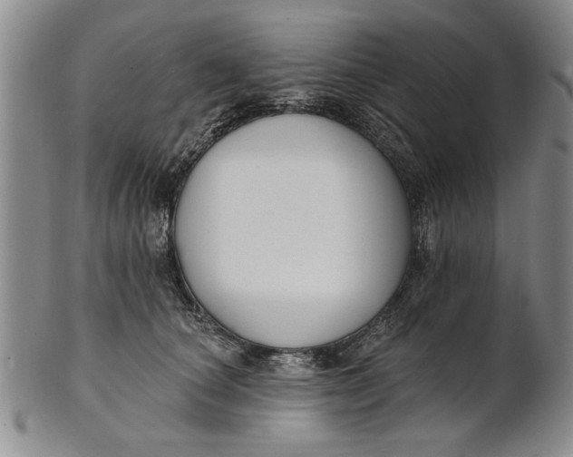 X0000100750660200807101704