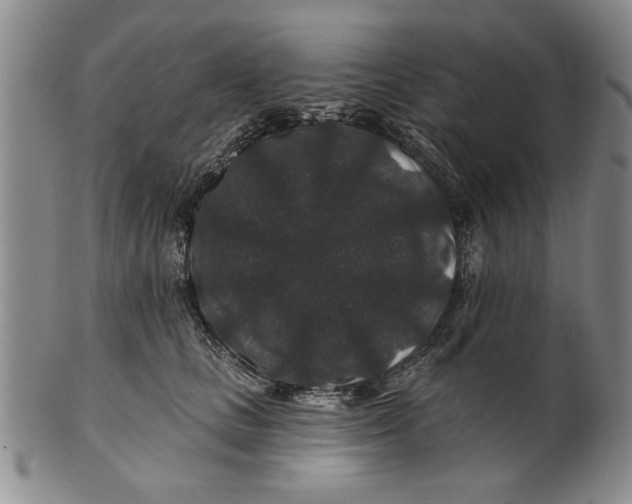 X0000100750661200807101704