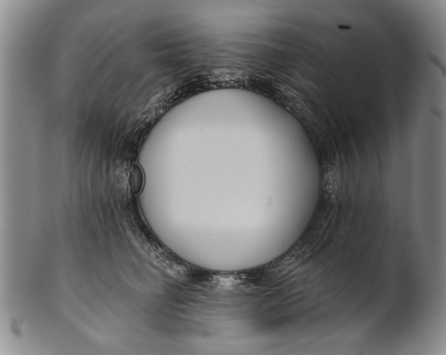 X0000100750662200807101704