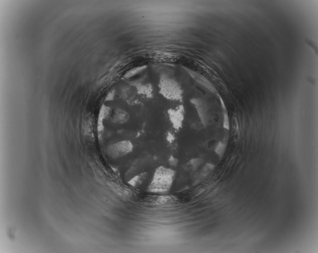 X0000100750663200807101704