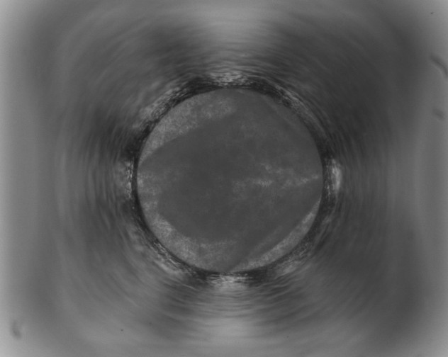 X0000100750664200807101704