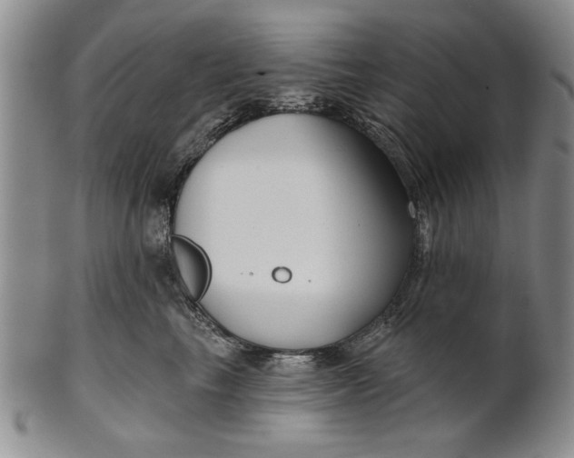 X0000100750665200807101705