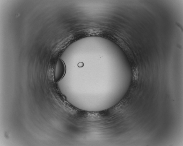 X0000100750666200807101705