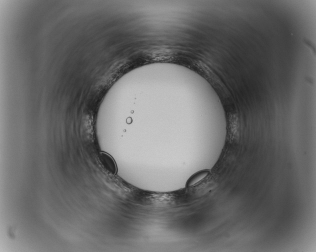 X0000100750667200807101705