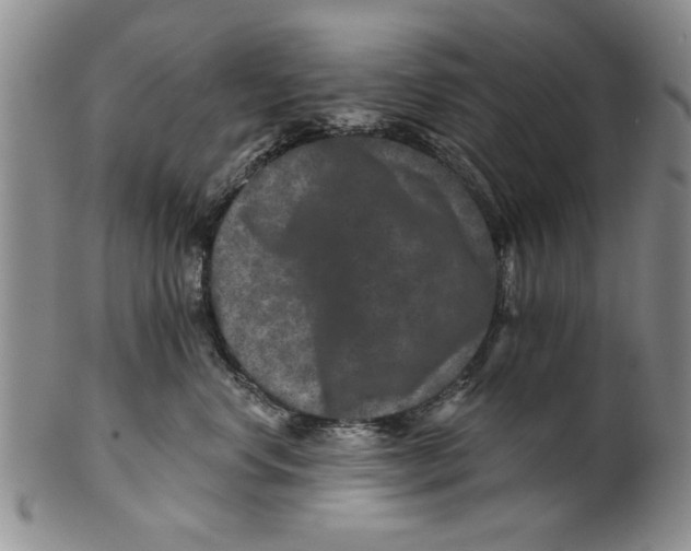 X0000100750668200807101705