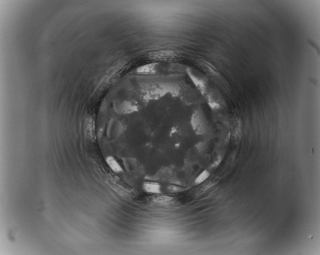 X0000100750669200807101705