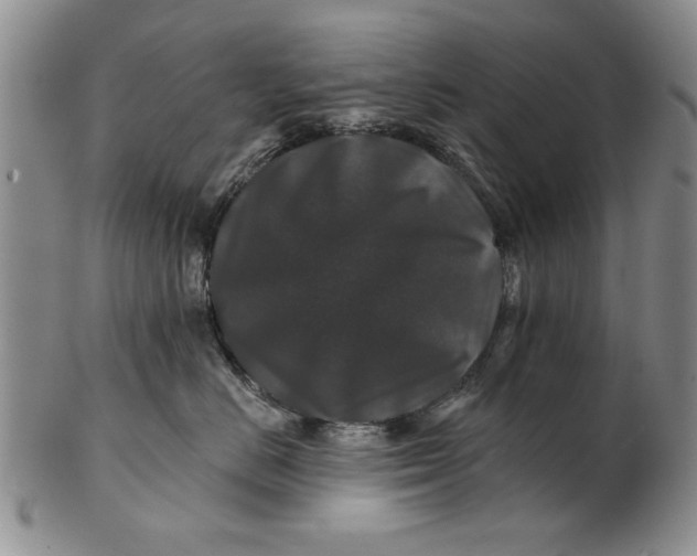 X0000100750670200807101705