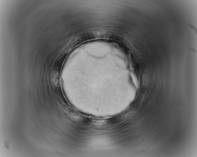 X0000100750671200807101705