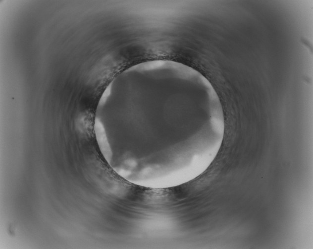 X0000100750672200807101705