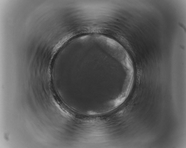 X0000100750674200807101704