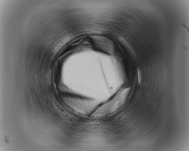 X0000100750675200807101704