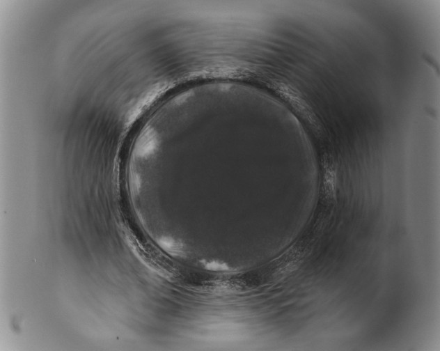 X0000100750678200807101704