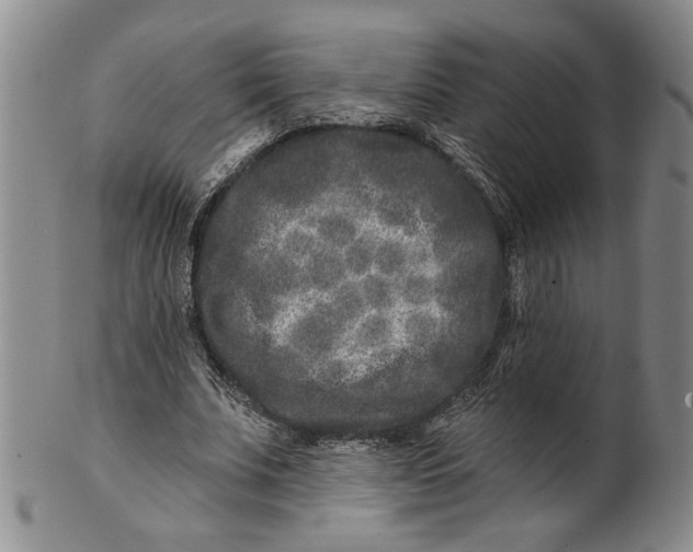 X0000100750679200807101704