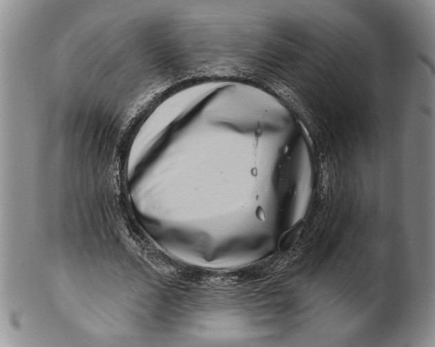 X0000100750680200807101704